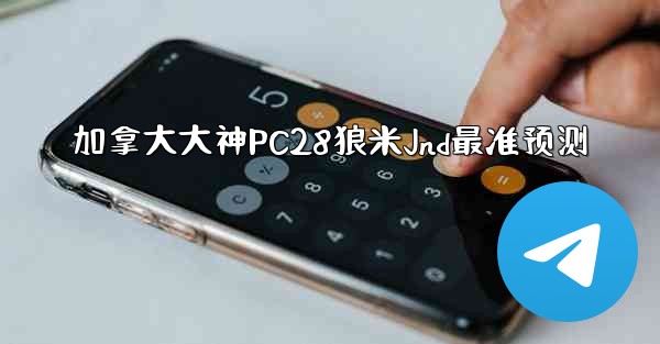加拿大大神PC28狼米Jnd最准预测