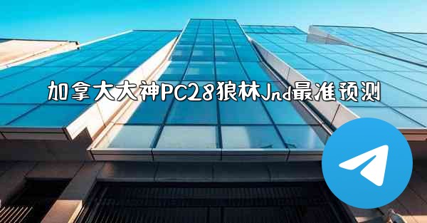 加拿大大神PC28狼林Jnd最准预测
