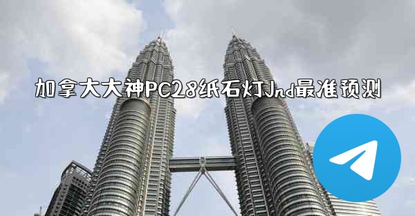 加拿大大神PC28纸石灯Jnd最准预测