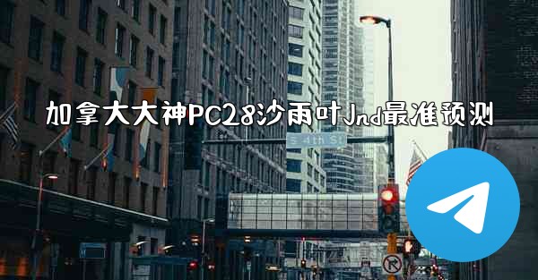 加拿大大神PC28沙雨叶Jnd最准预测