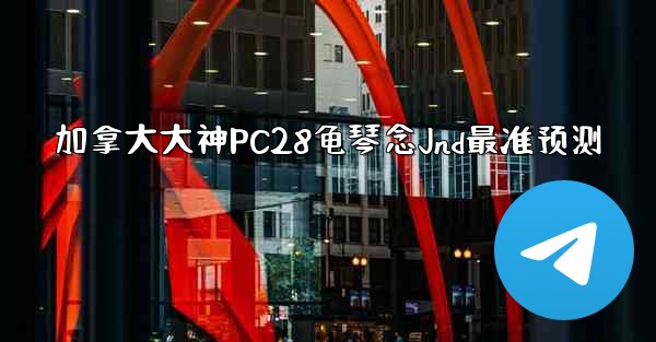 加拿大大神PC28龟琴念Jnd最准预测