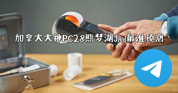 加拿大大神PC28熊梦湖Jnd最准预测