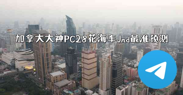 加拿大大神PC28花海车Jnd最准预测