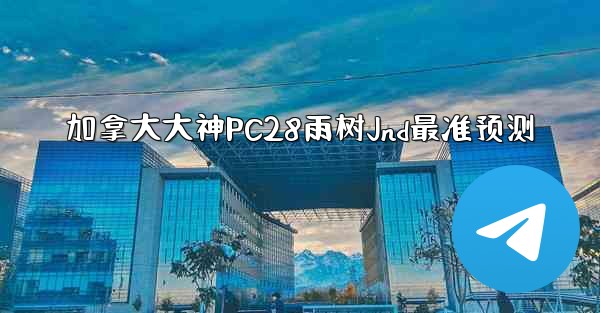 加拿大大神PC28雨树Jnd最准预测