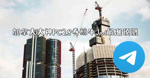 加拿大大神PC28寿鲸牛Jnd最准预测