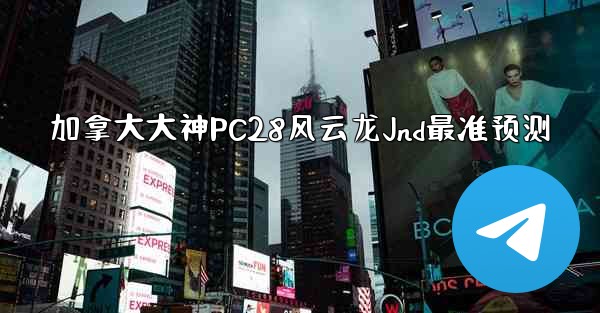 加拿大大神PC28风云龙Jnd最准预测