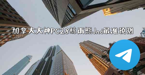 加拿大大神PC28鲸雨熊Jnd最准预测