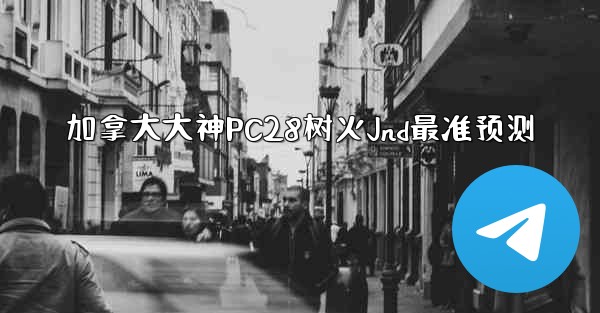 加拿大大神PC28树火Jnd最准预测