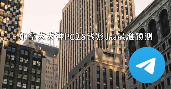 加拿大大神PC28钱影Jnd最准预测