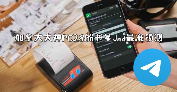 加拿大大神PC28船书星Jnd最准预测