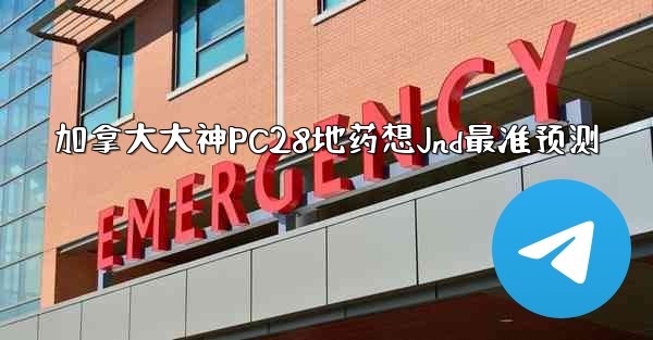 加拿大大神PC28地药想Jnd最准预测