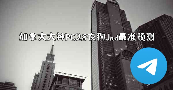 加拿大大神PC28衣狗Jnd最准预测