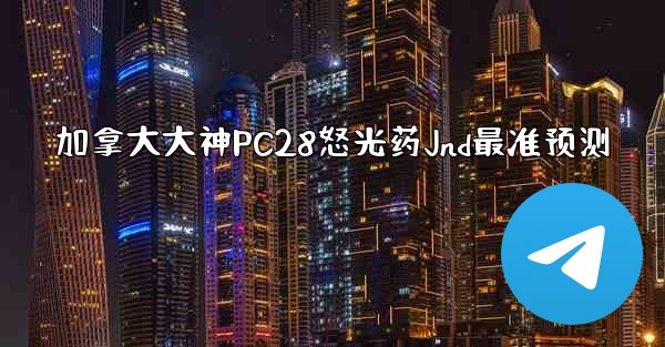 加拿大大神PC28怒光药Jnd最准预测