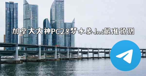加拿大大神PC28梦水象Jnd最准预测