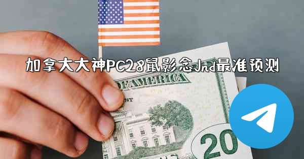 加拿大大神PC28鼠影念Jnd最准预测