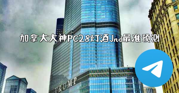 加拿大大神PC28灯酒Jnd最准预测
