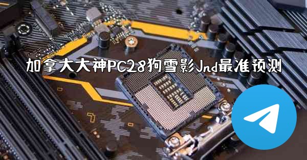 加拿大大神PC28狗雪影Jnd最准预测