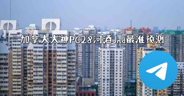 加拿大大神PC28河酒Jnd最准预测