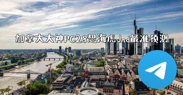 加拿大大神PC28想海虎Jnd最准预测