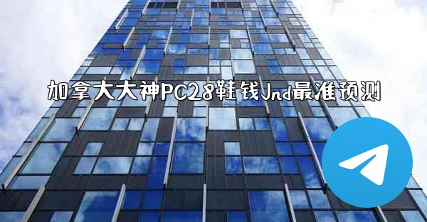 加拿大大神PC28鞋钱Jnd最准预测