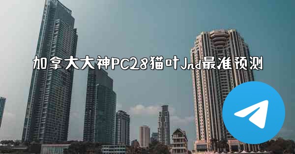 加拿大大神PC28猫叶Jnd最准预测