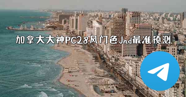 加拿大大神PC28风门色Jnd最准预测