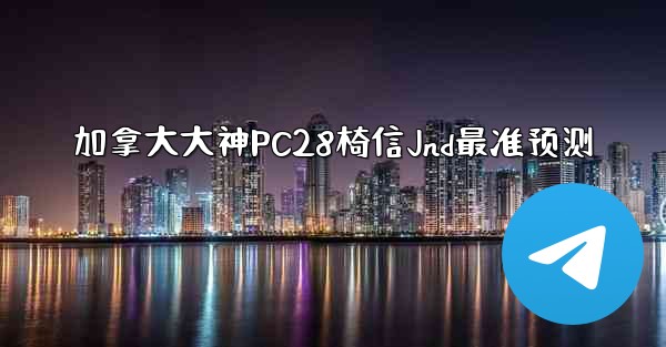 加拿大大神PC28椅信Jnd最准预测