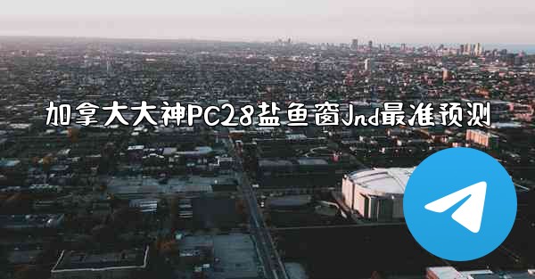 加拿大大神PC28盐鱼窗Jnd最准预测