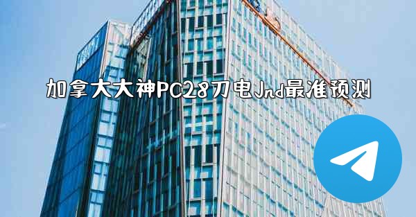 加拿大大神PC28刀电Jnd最准预测