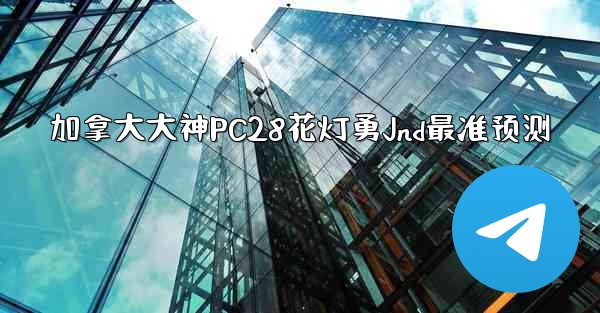加拿大大神PC28花灯勇Jnd最准预测