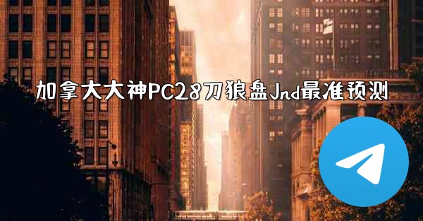 加拿大大神PC28刀狼盘Jnd最准预测