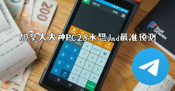 加拿大大神PC28水想Jnd最准预测