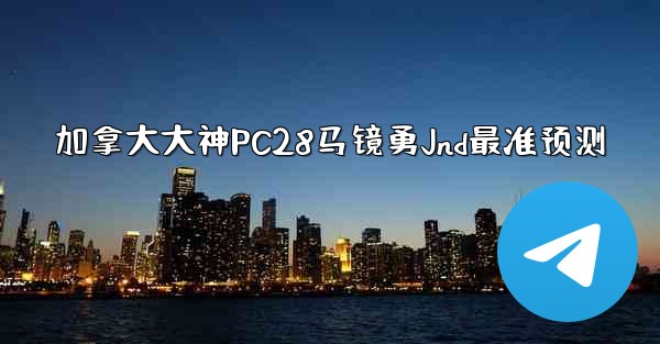 加拿大大神PC28马镜勇Jnd最准预测