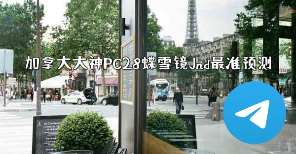加拿大大神PC28蝶雪镜Jnd最准预测
