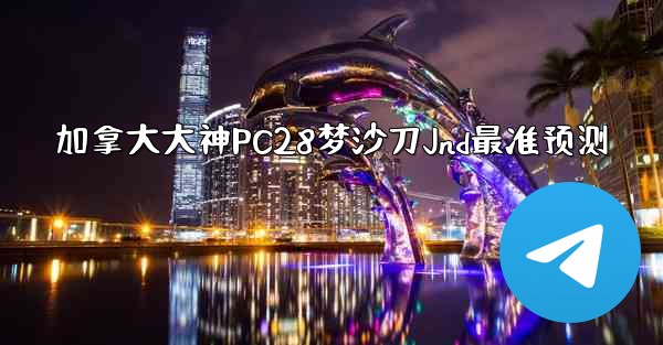 加拿大大神PC28梦沙刀Jnd最准预测