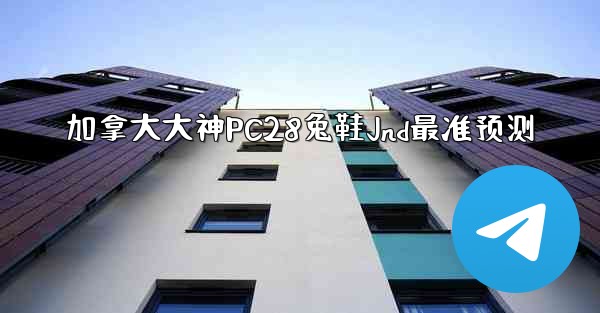 加拿大大神PC28兔鞋Jnd最准预测