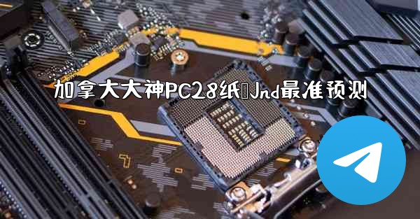 加拿大大神PC28纸鹅Jnd最准预测
