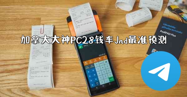 加拿大大神PC28钱车Jnd最准预测