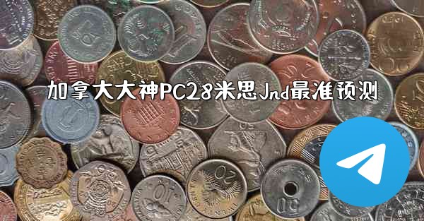加拿大大神PC28米思Jnd最准预测