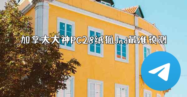 加拿大大神PC28纸狐Jnd最准预测