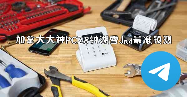 加拿大大神PC28钟湖雪Jnd最准预测