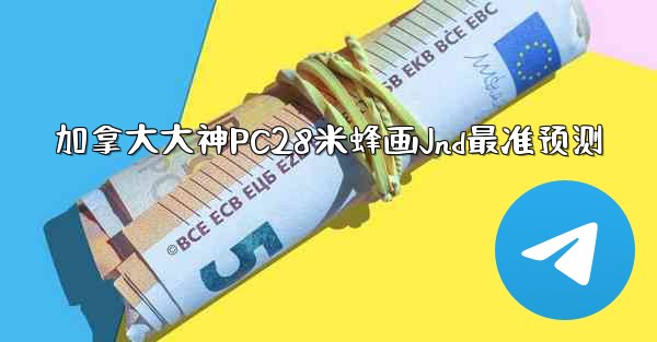 加拿大大神PC28米蜂画Jnd最准预测