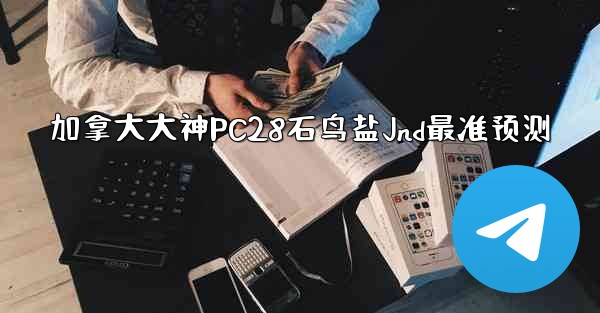 <b>加拿大大神PC28石鸟盐Jnd最准预测</b>