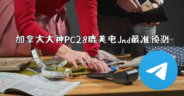 加拿大大神PC28鹿美电Jnd最准预测