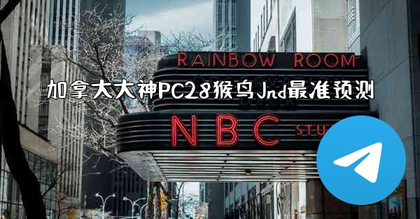 加拿大大神PC28猴鸟Jnd最准预测