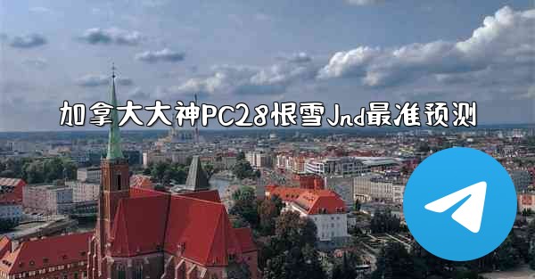 加拿大大神PC28恨雪Jnd最准预测