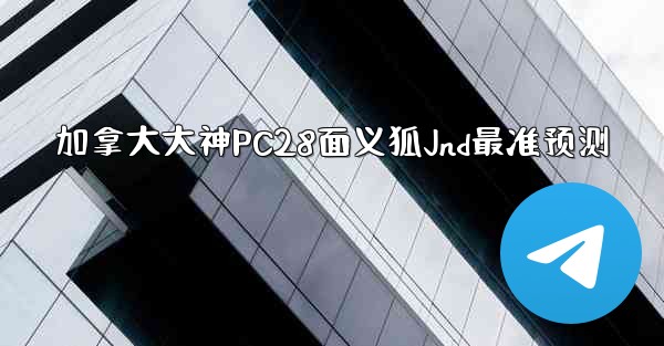 加拿大大神PC28面义狐Jnd最准预测