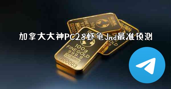 加拿大大神PC28虾龟Jnd最准预测