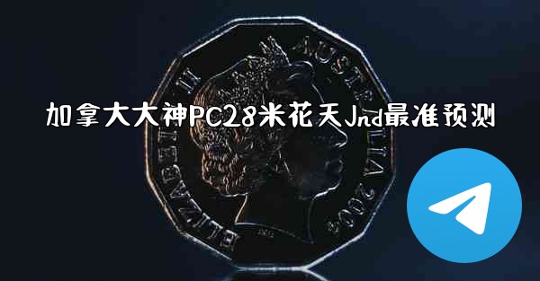 加拿大大神PC28米花天Jnd最准预测