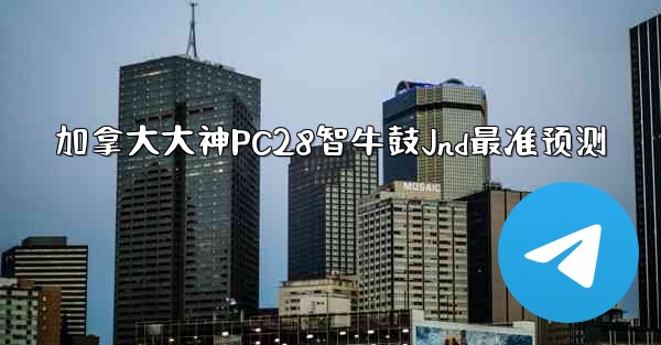 加拿大大神PC28智牛鼓Jnd最准预测